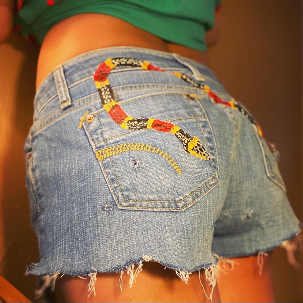 🎨 Hand Painted Joe’s Jeans Shorts Snake Texas 29